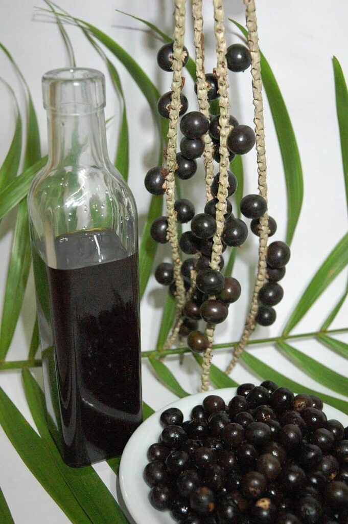 Açaí berries clustered in deep purple-black hues against a backdrop of green palm fronds