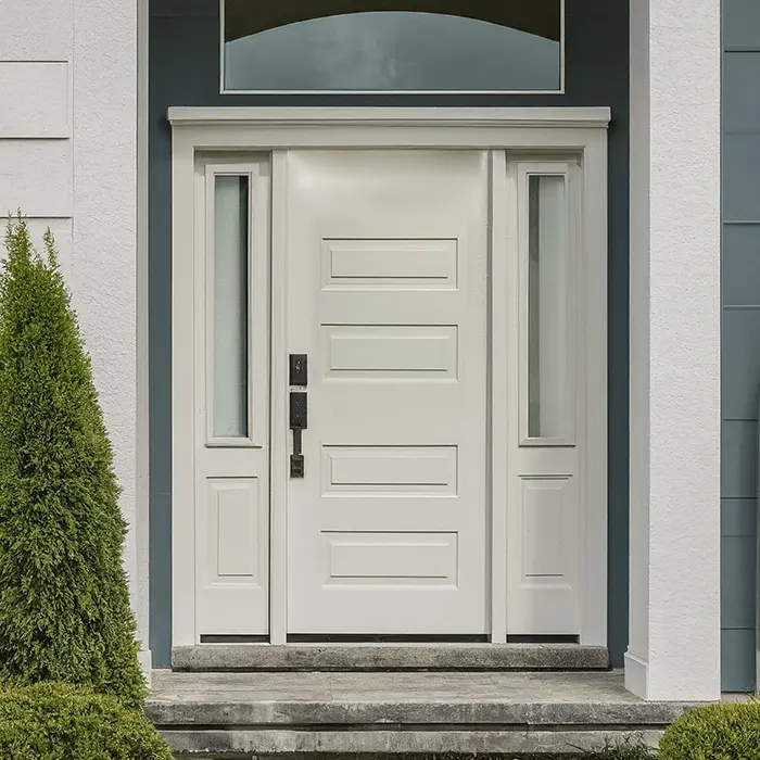 Classic White Front Door with Timeless Elegance