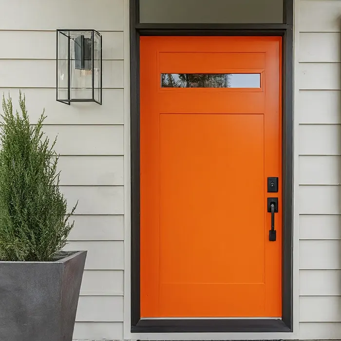 Sunny Orange Door with Playful Appeal