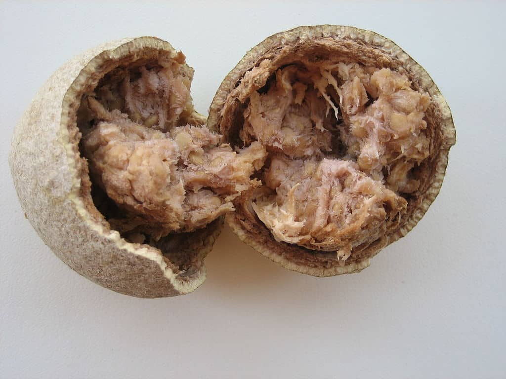 Wood apple with rough brown shell and aromatic golden pulp inside