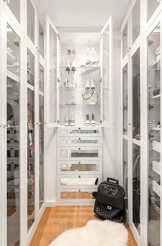 Chic Walk-In Closet with Glass Doors