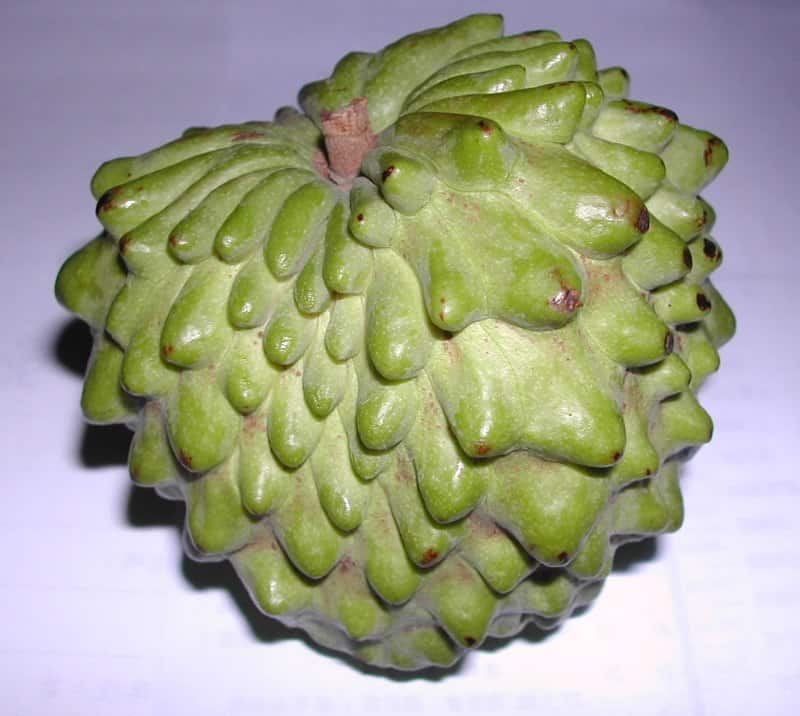 Atemoya fruit with scaly, pale green skin and soft, creamy interior