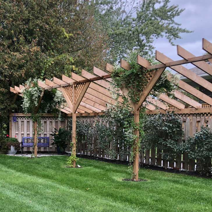 Fence Extension with Trellis and Climbing Vines